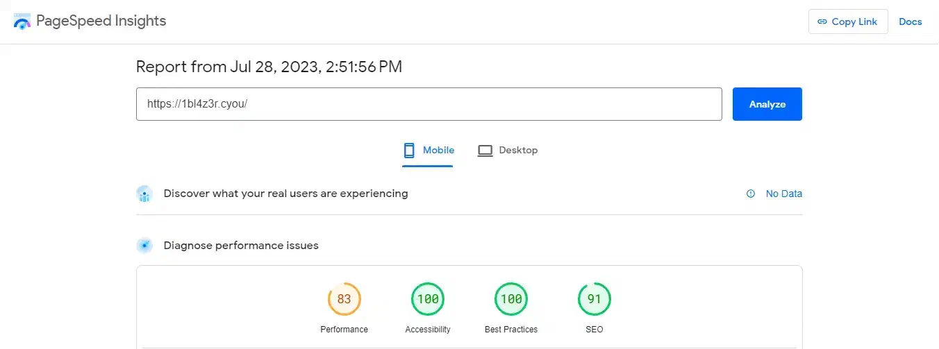 Home Page Score